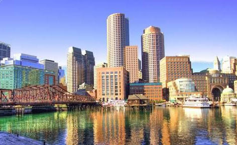 보스턴 벌레·알레르기·풍토병, 이거 미리 알아두세요 - Boston - 1