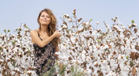 What are the Agricultural Products of Alabama? - Birmingham - 1