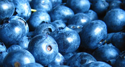 What are the Major Agricultural Products Produced in Maine? - Maine - 1