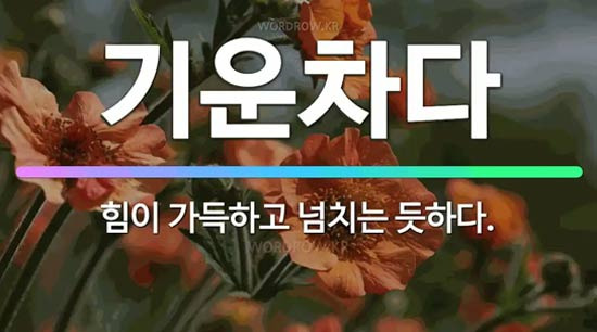 2026년, 우리 모두 기운차게 한 번 달려봅시다! - Iowa City - 1