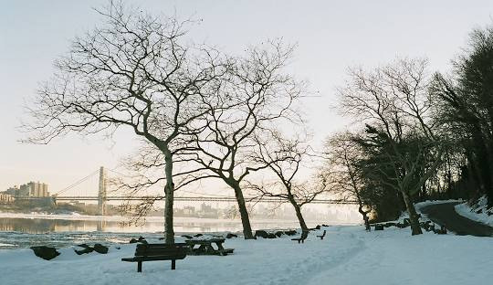 Information on Palisades Park Population and Median Income - Palisades Park - 1