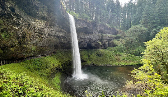 오리건주에서 가장 큰 주립공원 Silver Falls State Park - Oregon - 1