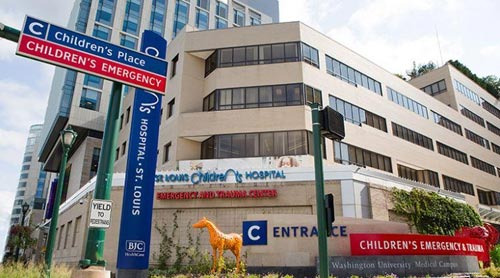 세인트루이스 어린이병원, St. Louis Children's Hospital - Saint Louis - 2