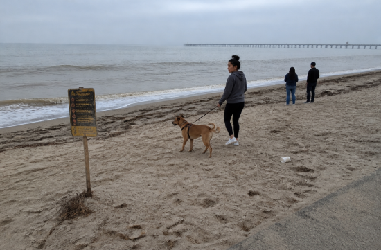 임페리얼 비치 하수 폐쇄, 물보다 무서운 건 공기였어요 - San Diego - 1