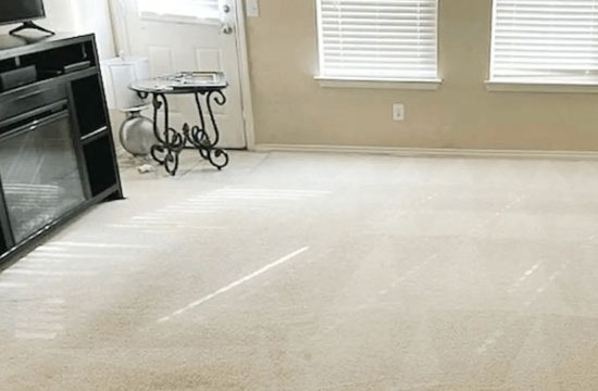 The Carpet Floors of America Demand Diligence Instead of Comfort - Fargo - 1