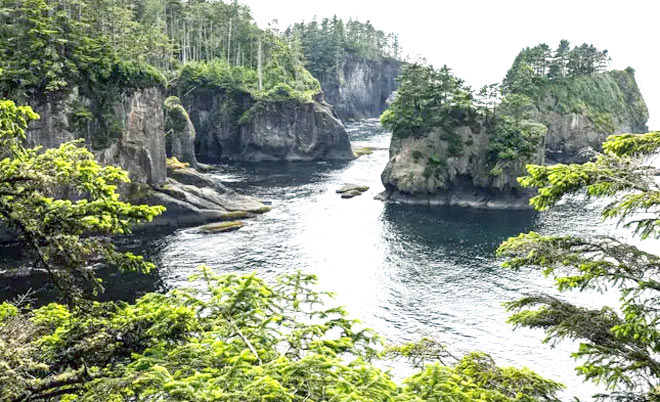 워싱턴 주 끝자락 네아베이에 Cape Flattery 여행기 - Seattle - 1