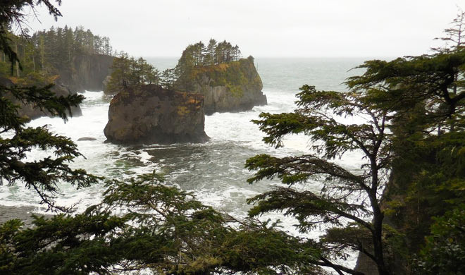 워싱턴 주 끝자락 네아베이에 Cape Flattery 여행기 - Seattle - 2