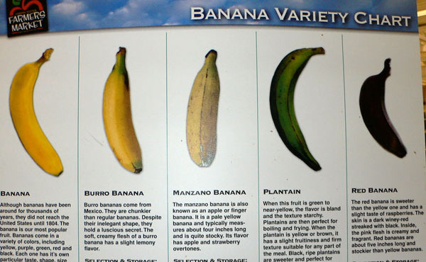 The Sugar Content of Bananas Varies Significantly with Ripeness - Salt Lake City - 1