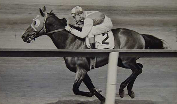 The Peak Period of Street Horse Racing Betting in the U.S. - West Covina - 3