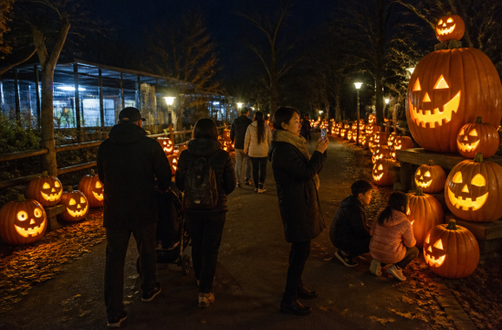 Buffalo Zoo Pumpkin Trail, Fall Night Walk Until November 1 - Buffalo - 1