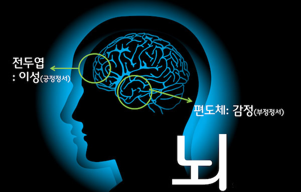 The Story of the Frontal Lobe, the Command Center of Humanity - Los Angeles - 1