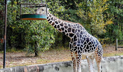 What is the Baton Rouge Zoo like? - Baton Rouge - 1