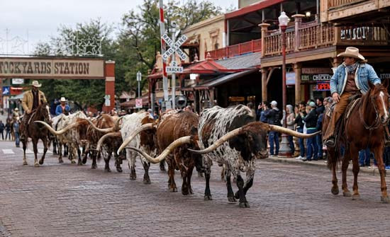 Fort Worth 처음 오는 분들을 위한 관광 가이드 - Fort Worth - 1