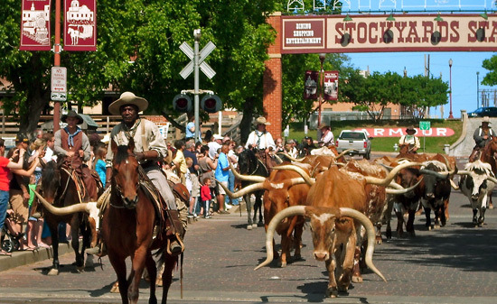 Fort Worth 경제를 떠받치는 주요 산업들 - Fort Worth - 1