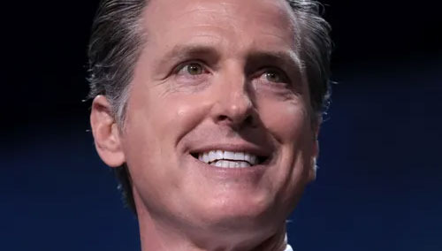 Gavin Newsom - Who is he? - Los Angeles - 1