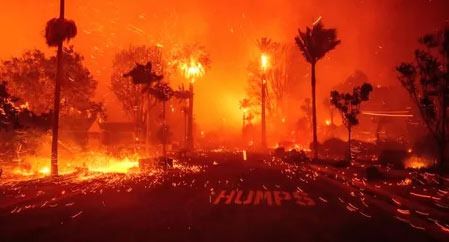 2025 LA Wildfire Damage - “Worst Since World War II” - Los Angeles - 1