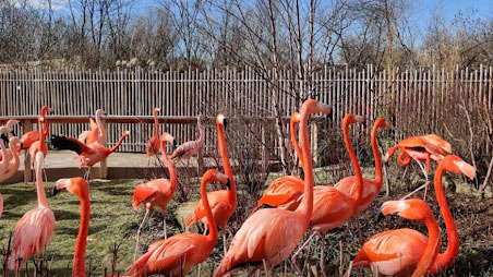 인디애나폴리스 동물원(Indianapolis Zoo) - Indianapolis - 1