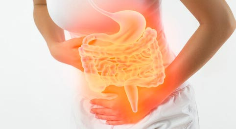 Five Foods That Support Gut Bacteria - Chicago - 1