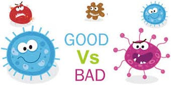 Incredible Health Information! Do You Know About Gut Bacteria? - Philadelphia - 1