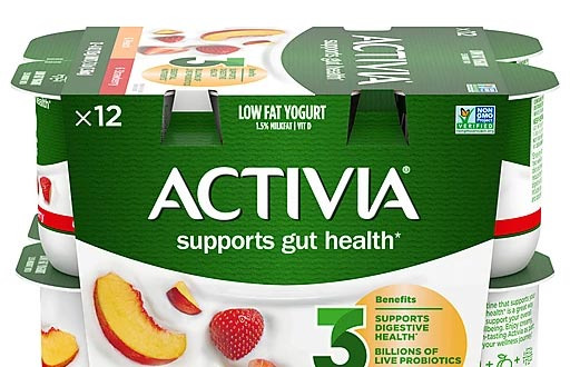 Gut Microbes That Benefit Our Body - Fairfax - 1
