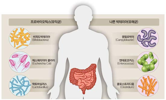 Benefits of Having More Beneficial Microbes in Our Body - Sacramento - 1