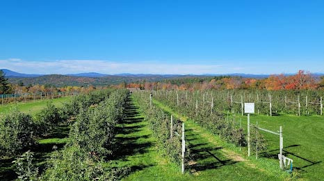 What Agricultural Products Are Produced in the Concord Area? - Concord - 1