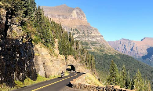 The Importance of Forestry in Montana's Economy - Billings - 1