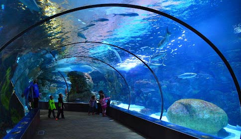 Famous and Visit-Worthy Aquariums in Nebraska - Nebraska - 1