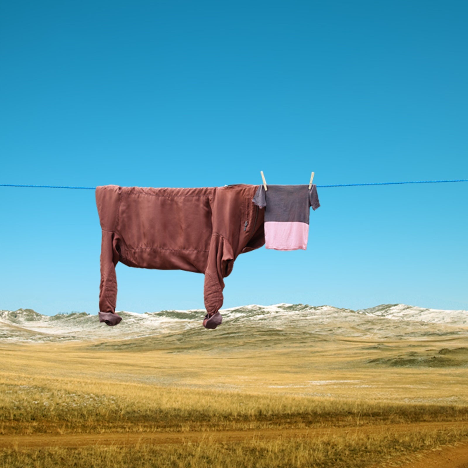 Living in Nebraska with Cattle Feels Like Reaching Enlightenment - Omaha - 1