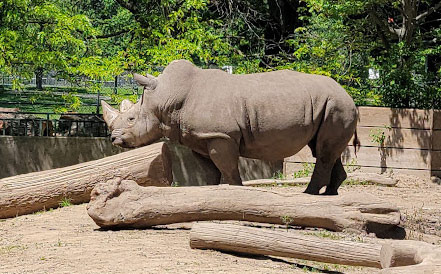 Make sure to visit Henry Vilas Zoo when you are in Madison! - Madison - 1