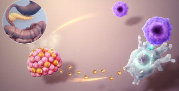 당뇨병(Diabetes) 걸리면 평균 수명 8년 감소! - Lansdale - 1
