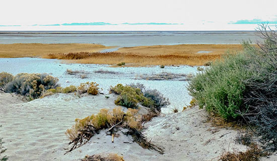Trump Plans to Spend $1 Billion on the Great Salt Lake - Salt Lake City - 3