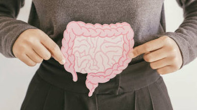 Can Regular Intake of Probiotics Prevent Dementia? - Palisades Park - 1