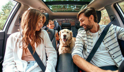 Road Trip with Your Dog! Things to Check - San Diego - 1