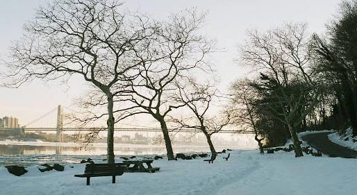 뉴저지 Palisades Park 겨울날씨는 어떤가요? - Palisades Park - 1