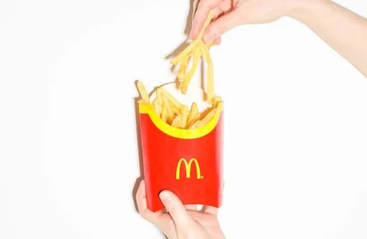 Characteristics and Major Production Areas of McDonald's French Fries - Hartsdale - 1