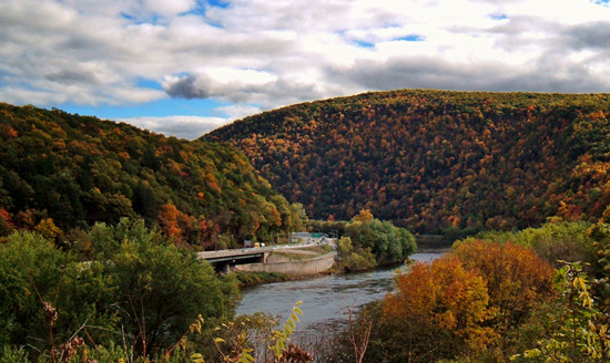 Delaware: A Great Place for Tourism with Well-Developed Forests and Trails - Newark - 1