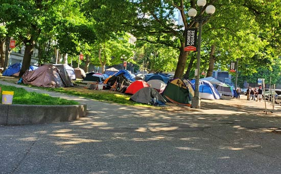 시애틀 치안 현황과 주의 지역 안내 - Seattle - 1