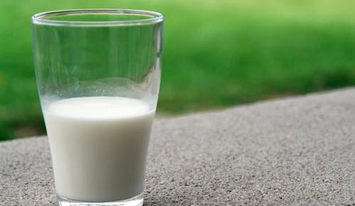 Is Drinking Milk a Good Habit If You Are Not Lactose Intolerant? - Palisades Park - 1