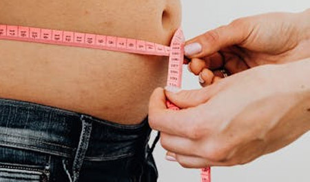 The Real Reasons for the Explosion of Obesity Rates in America Since the 1980s - Bronx - 1