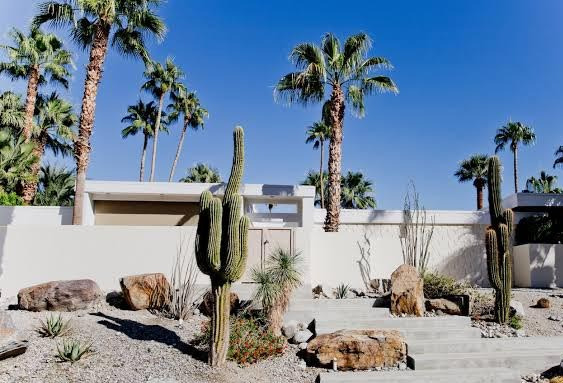 한인에게 팜스프링스가 맞는 이유? 조용한 사막 생활 - Palm Springs - 1