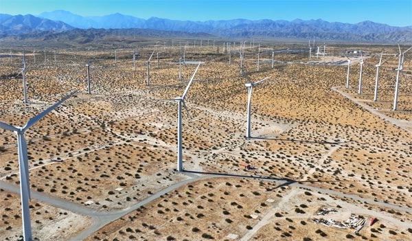 팜스프링스 자연재해. 지진·폭염·섬광홍수·강풍 가이드 - Palm Springs - 1