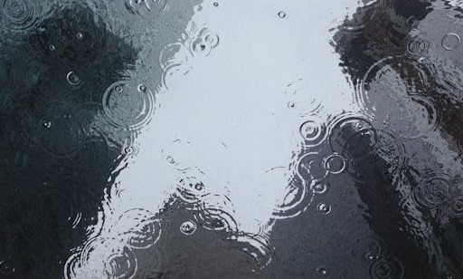 What is the month with the most rain in the LA area? - Los Angeles - 1