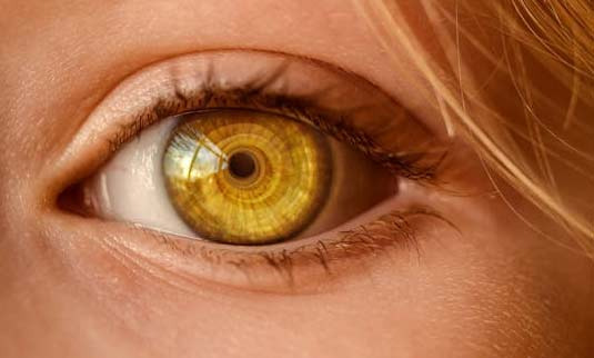 Mysterious Eye Colors by Race, What is the Most Common Eye Color? - Austin - 4
