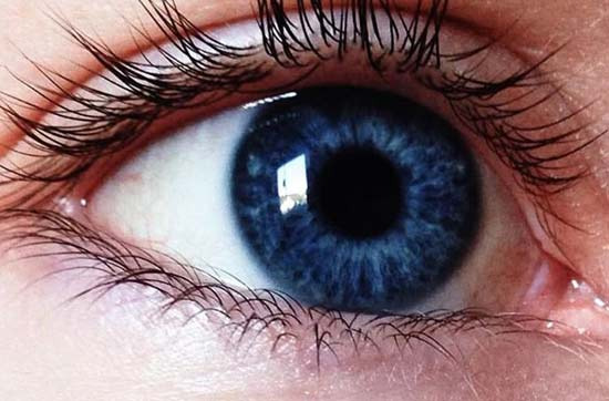 Mysterious Eye Colors by Race, What is the Most Common Eye Color? - Austin - 2