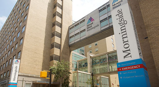 뉴욕 의학 연구의 산실, Mount Sinai Hospital - New York - 2