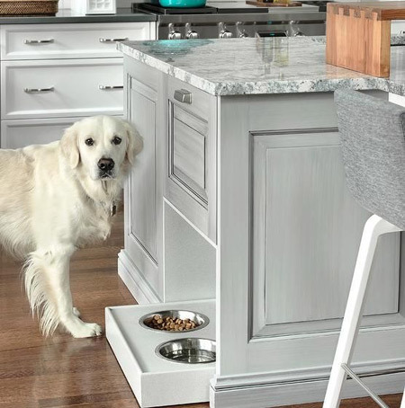 How to Manage Our Dog Who Wags Its Tail the Most in the Kitchen - Palisades Park - 2