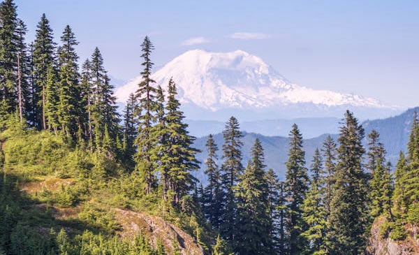 Seattle Skyline Background Mount Rainier - Seattle - 1