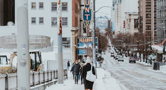 How Much Snow Does Seattle Get in Winter? - Seattle - 1