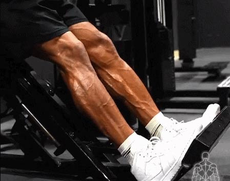 Causes of Shiny and Smooth-Looking Male Calves - Austin - 1
